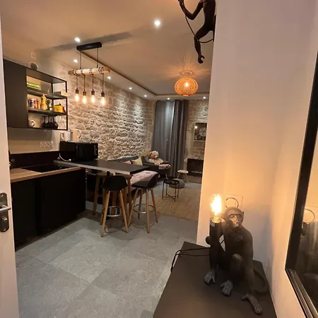 Apartment Moutarde & Elegance - Charme De Dijon